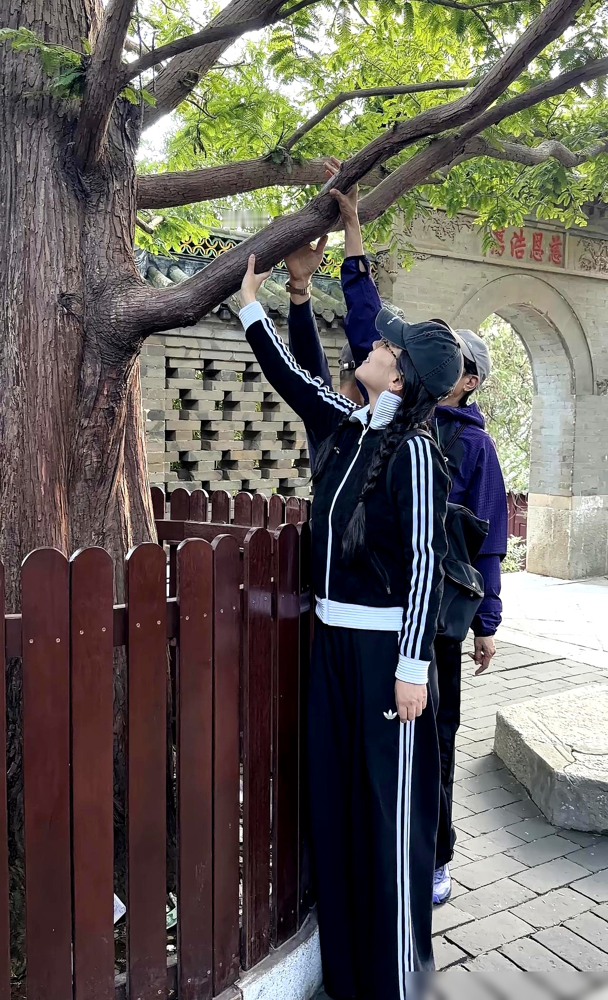 马思纯瘦回这样，亲妈蒋雯娟在台下那表情，绝了。
国庆大孤山被偶遇，马思纯跟爸妈走一块，整个人薄了一圈。不是那种病恹恹的瘦，是眼神里有光了，松弛得很。
谁还记得她低谷那几年，胖过、肿过、眼泡永远像哭过。那时候多少人嘲她恋爱脑状态崩，没人提她是个从小被丢在老家的留守儿童。
蒋雯娟呢？妹妹蒋雯丽和女