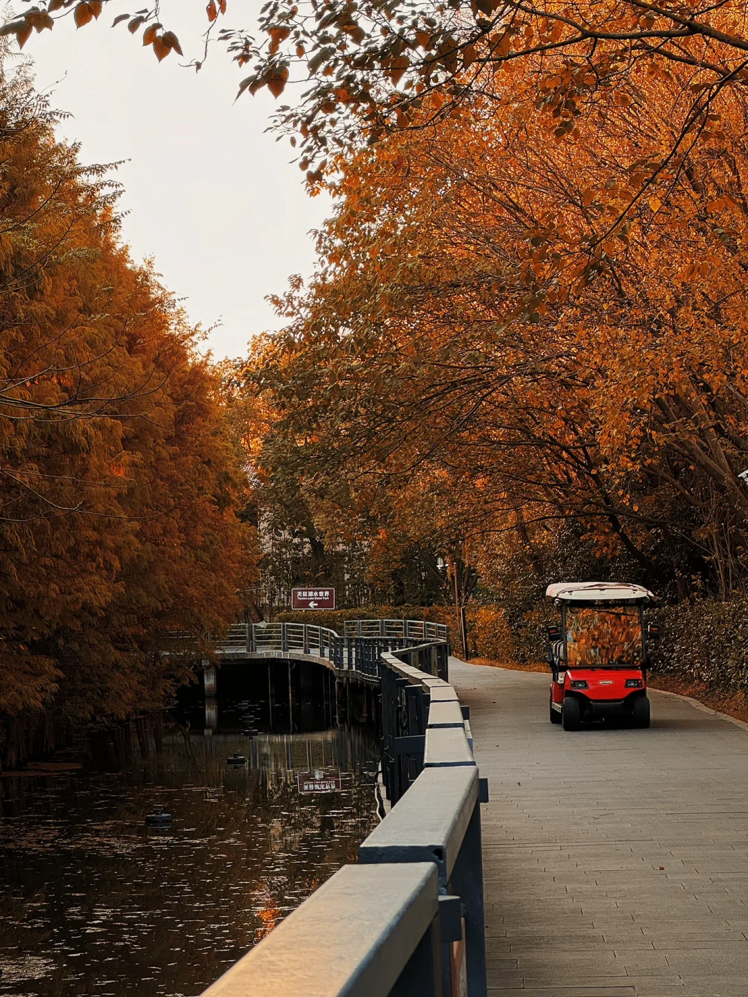 泡温泉♨️捡秋天🍂 | 溧阳最美的季节到了