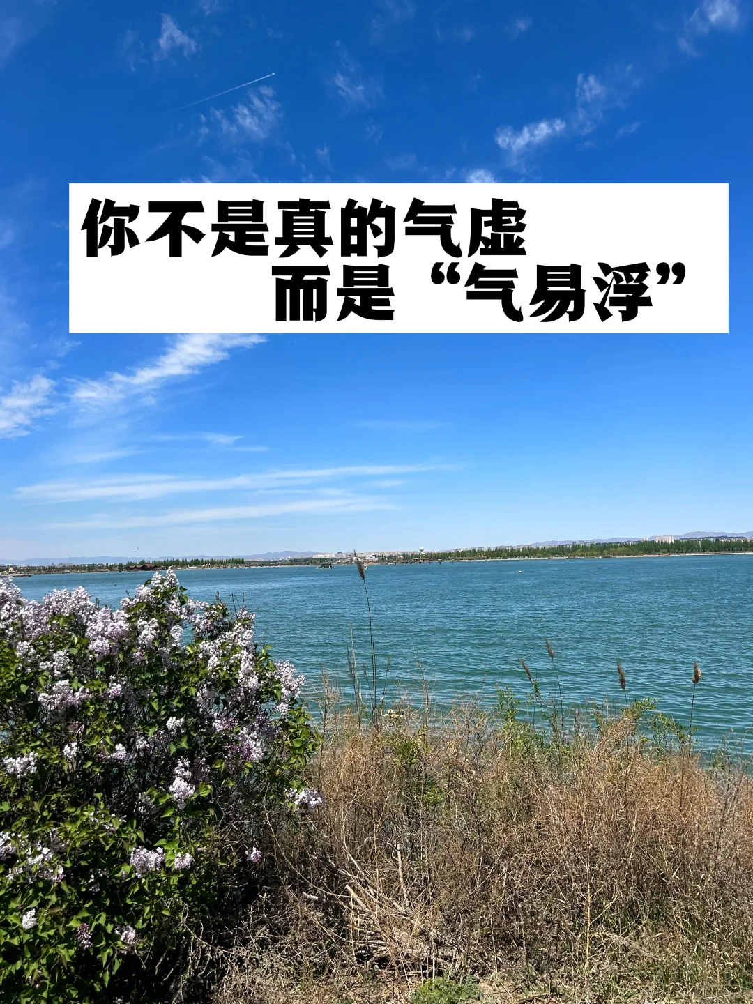 你不是真的气虚，而是“气易浮”