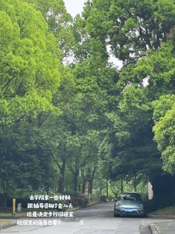 回溯在广西的日子