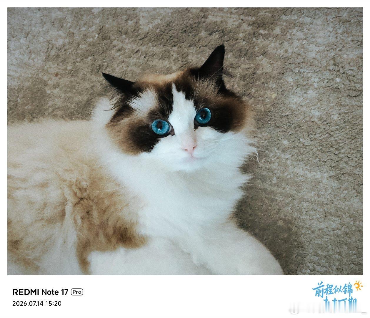 大家觉得REDMI Note 17 Pro的影像体验怎么样（提前给大家...