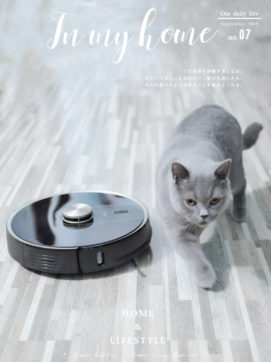 有娃有喵星人，pick实力派扫地机器人！