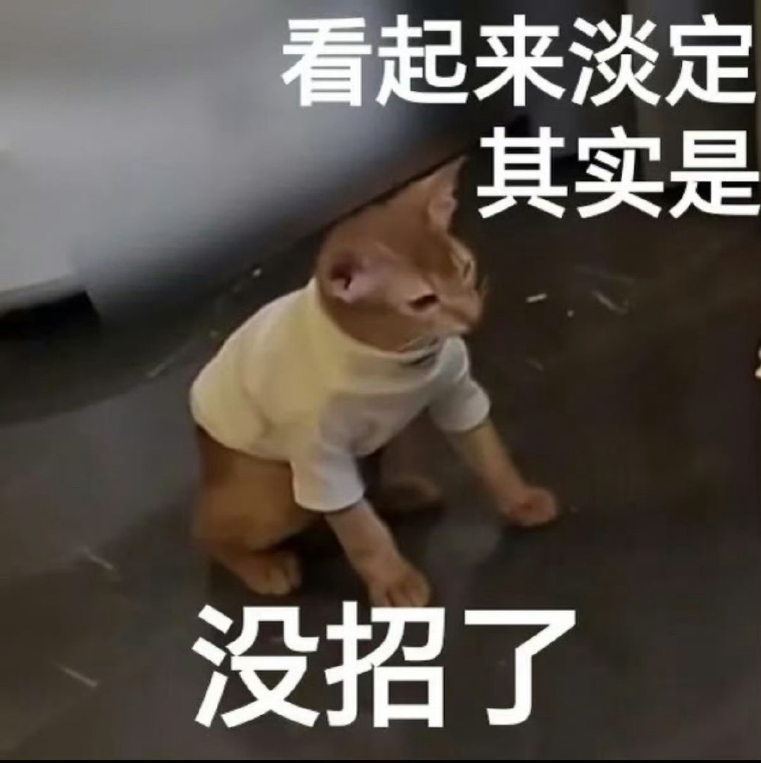 我等个红绿灯，这已经被第二次追尾了，我真的没招了 ​
