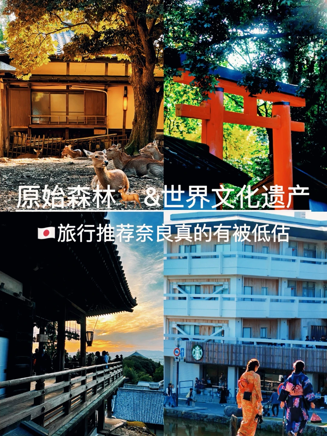 🦌 | 原始森林&世界文化遗产，奈良有被低估