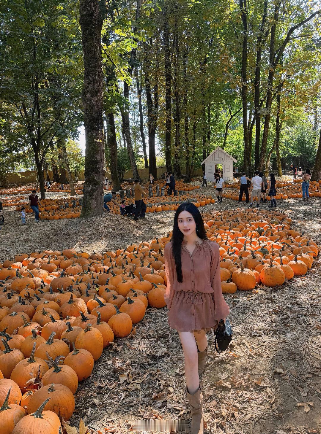 又是即将一年大温最浓郁的时候
今年的秋天好像要来的更早了一些🍂🎃 ​