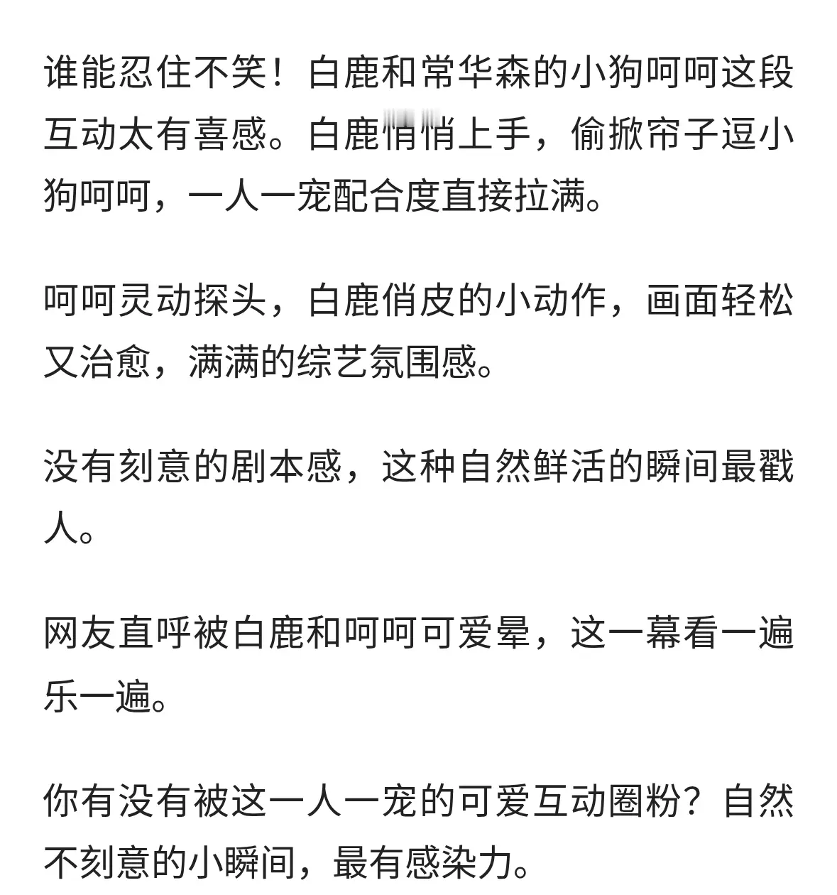 白鹿偷掀帘子逗呵呵，这段互动笑翻网友