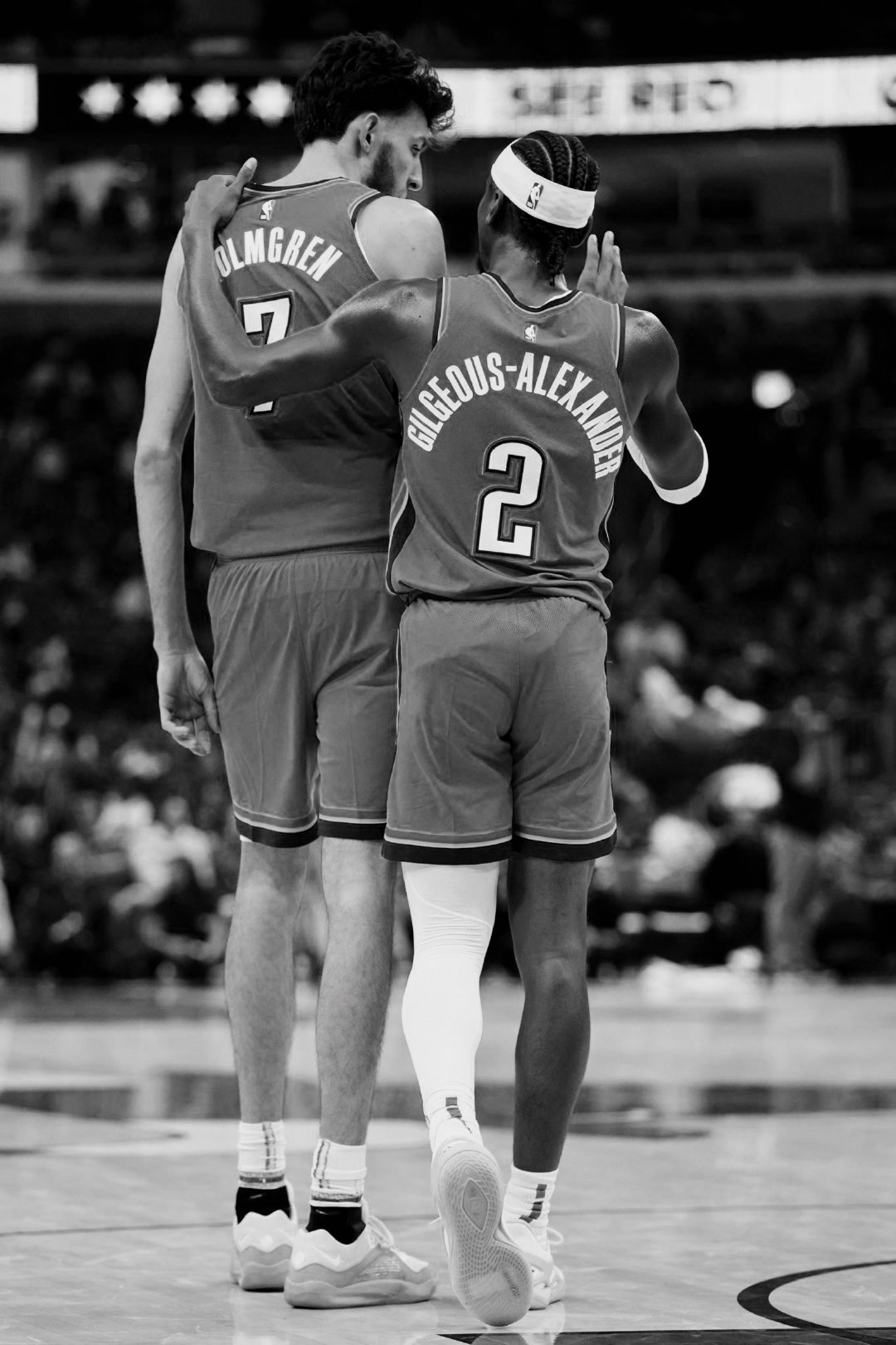 Shai Gilgeous-Alexander

#亚历山大##nba# ​