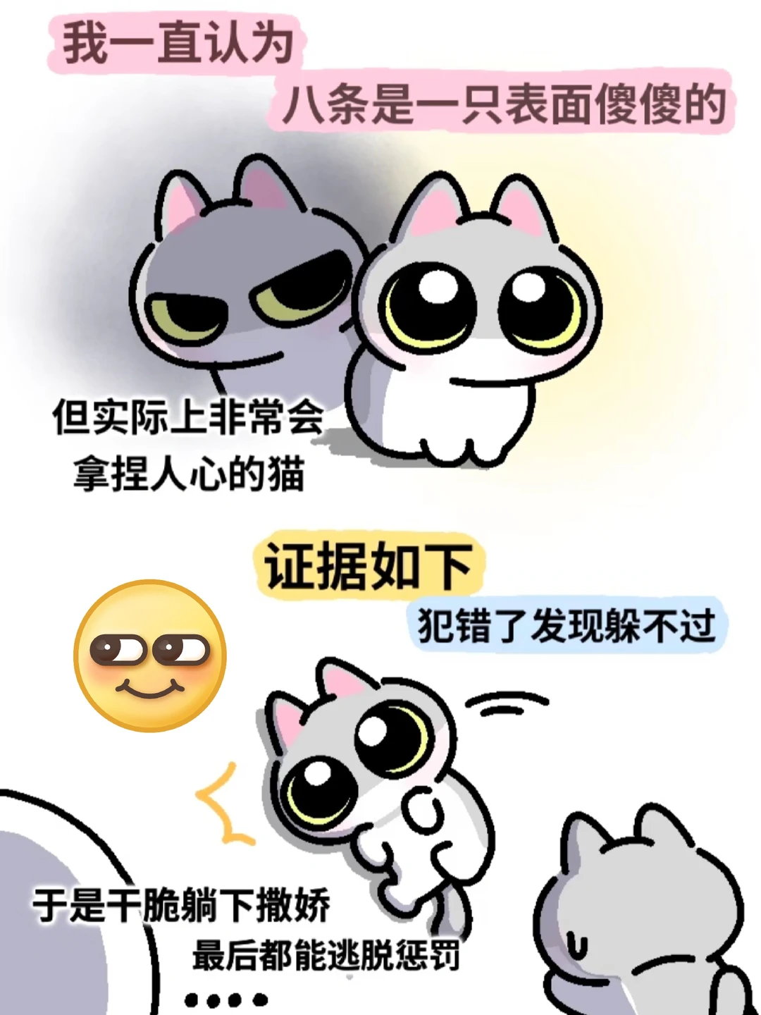 大傻猫 你在干什么！