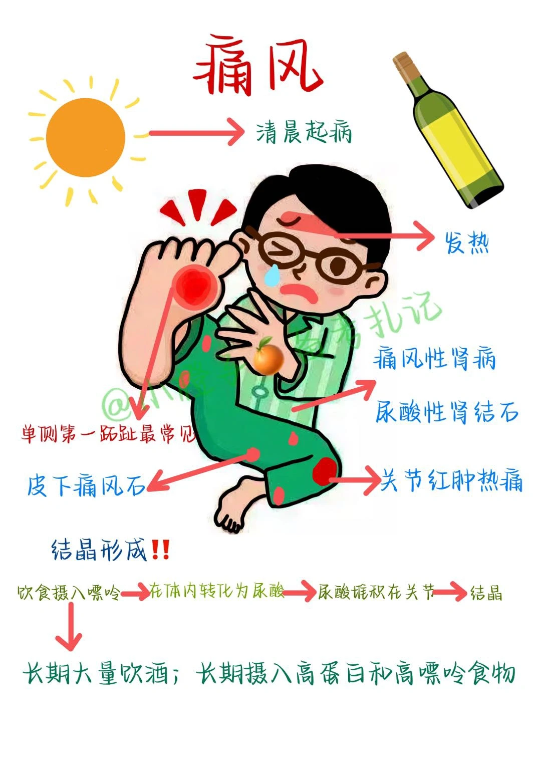 📖护师笔记｜内科护理学｜痛风😫