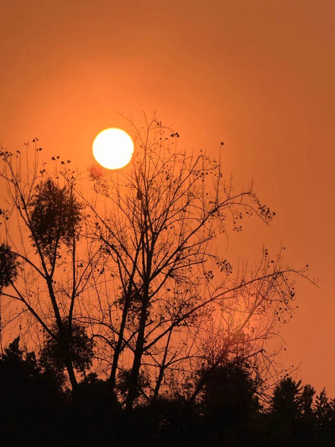 12.5！！成都拍到的落日晚霞……太浪漫了🌇