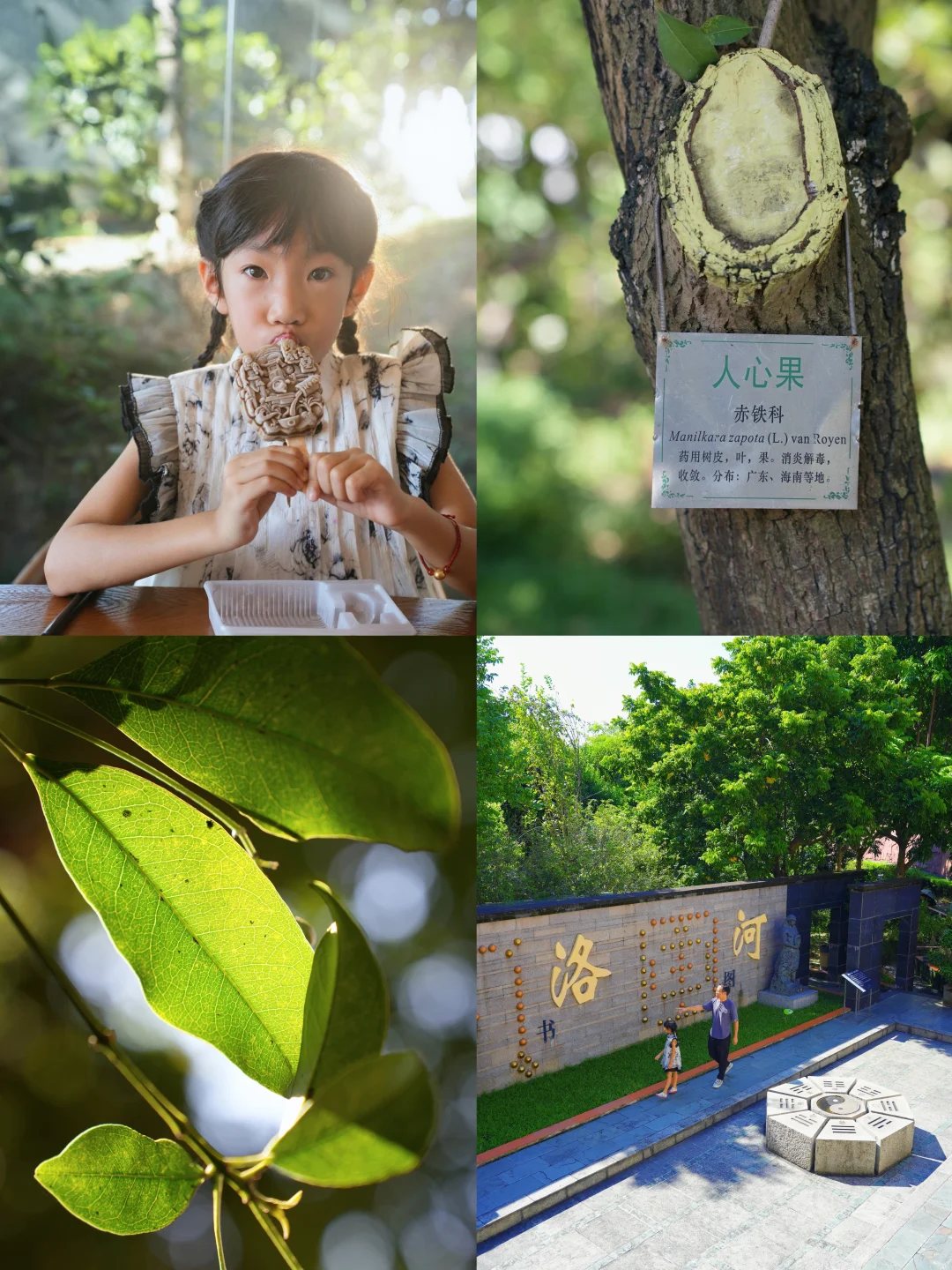 就在广州白云，严重被低估的免费博物馆