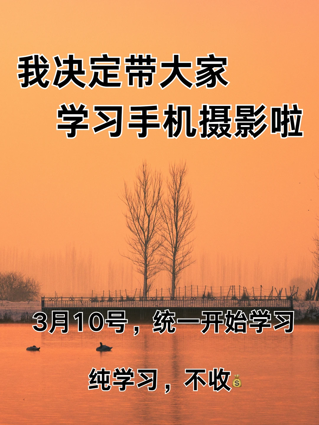 我决定带大家学习手机摄影啦！！