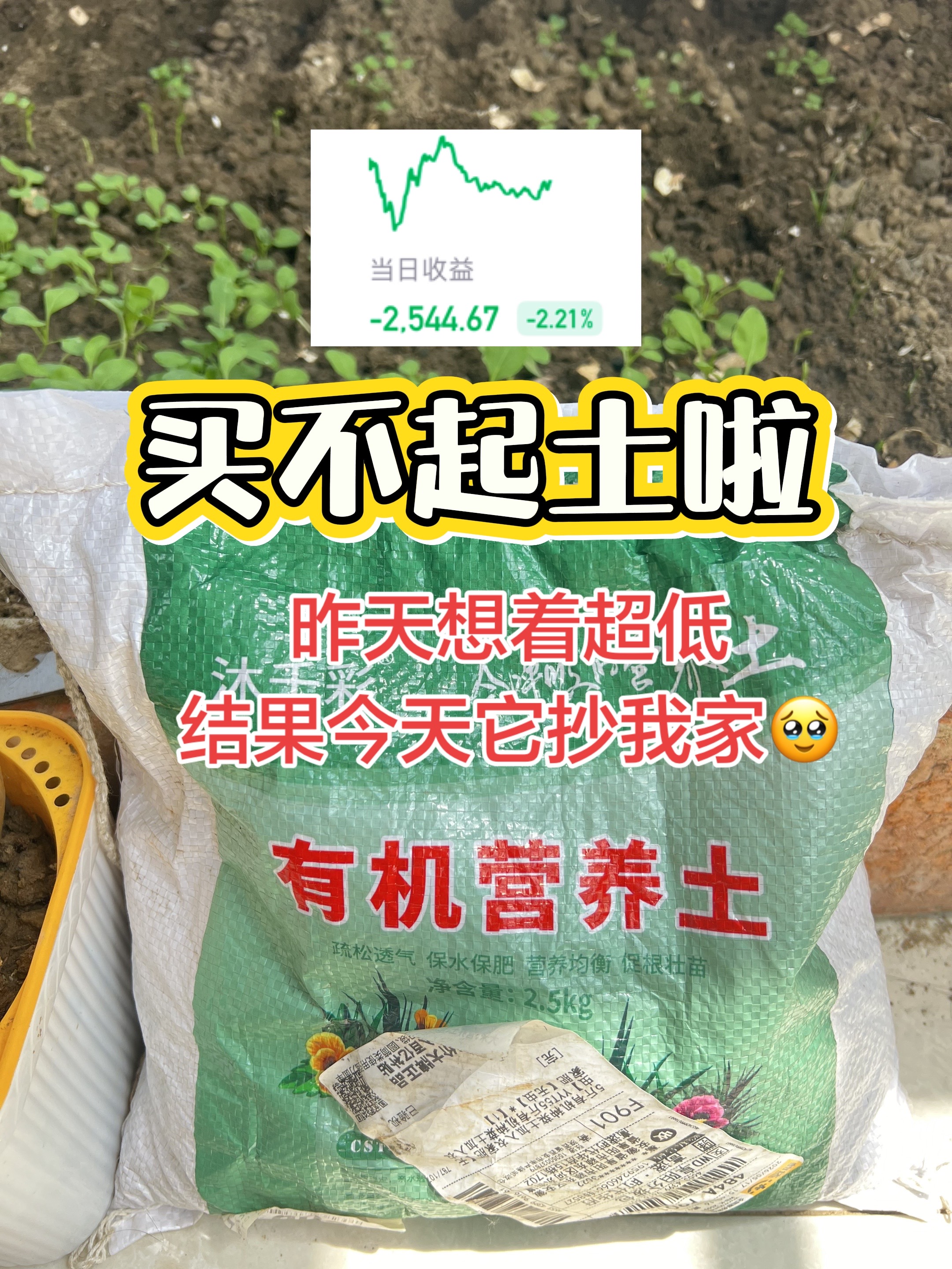 想象的和现实不一样