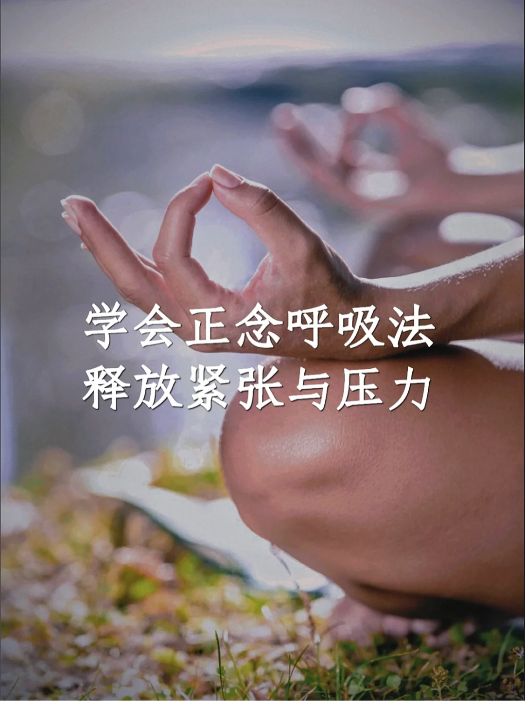 心灵疗愈｜观呼吸【下】