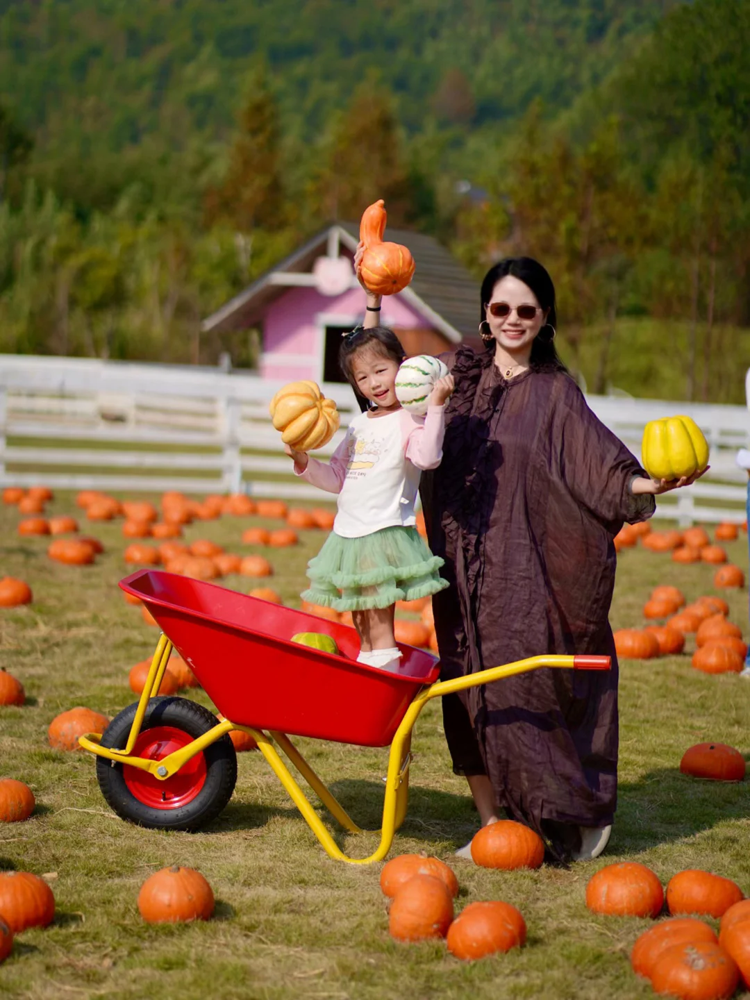 江浙沪遛娃天花板‼️闯进8吨南瓜童话世界🎃