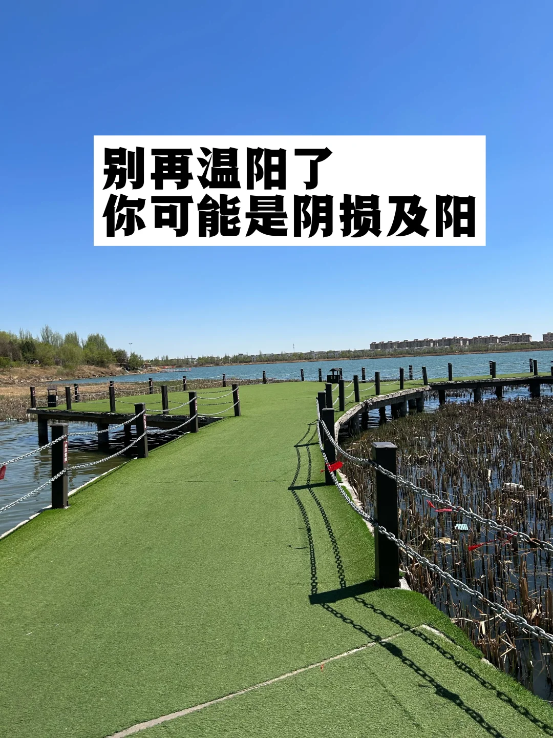 别再温阳了，你可能是阴损及阳！