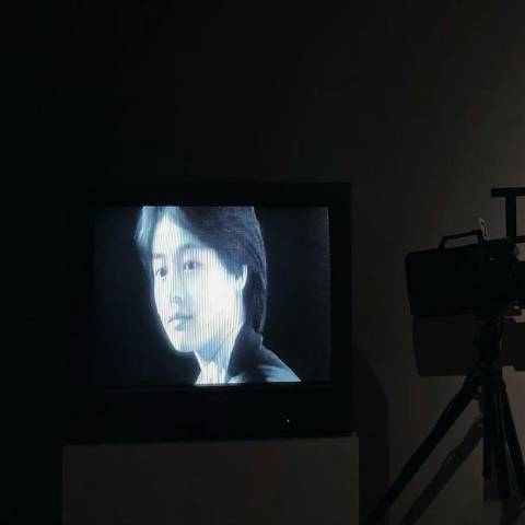 小鸥爱排球