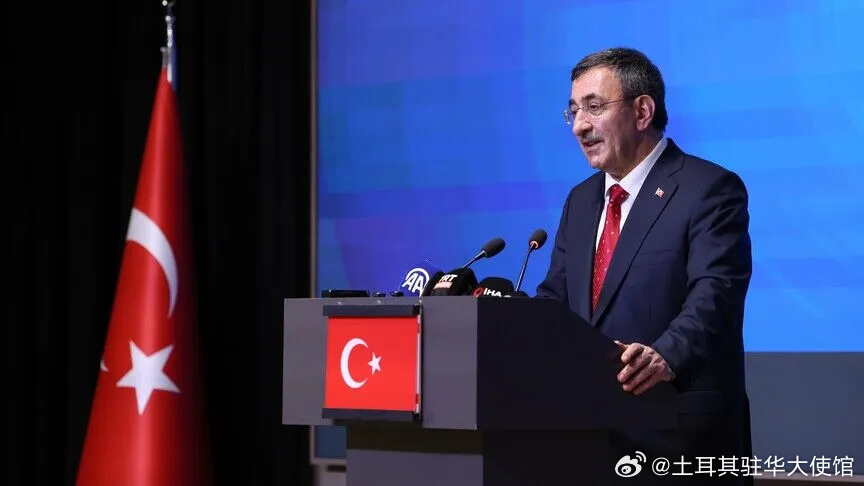 【土耳其副总统：土耳其需要强大的国防工业才能奉行独立自主的外交政策】土...