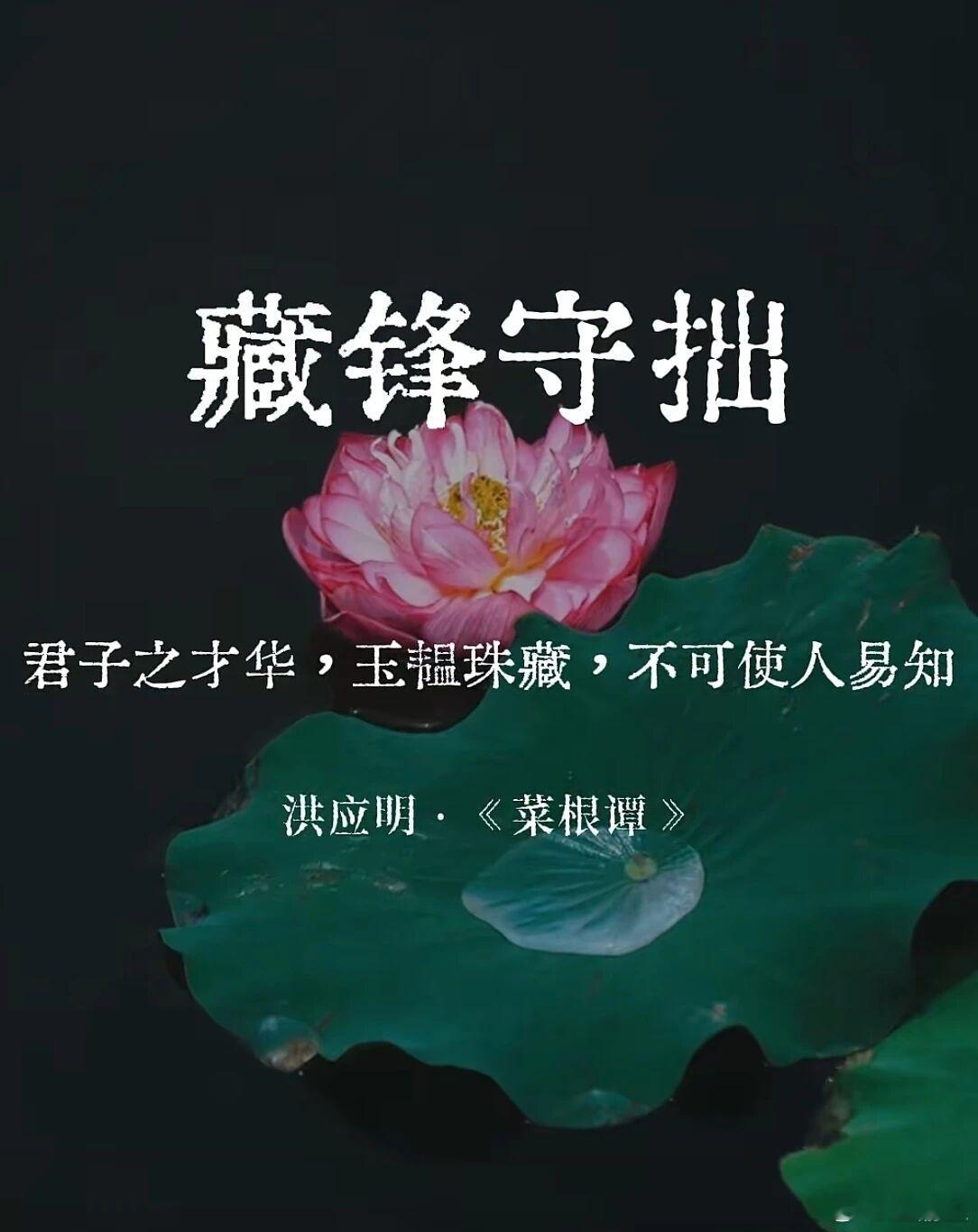 藏锋守拙，静待花开
宣渝生

“早得美名，必有所折。宜自韬晦，斯尽善矣。”

年少时初读此句，只当是长辈耳提面命的老生常谈。直到后来在名利场里摔过跤、吃过亏，才真正掂量出这十六个字的千钧分量。年少成名，固然是命运掷来的鲜花，可若接得太早，它扎手的地方往往比芬芳更多。盛名从来都是一把双 ​