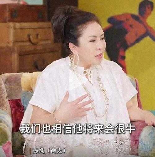 向太说，1999年马云来她家，聊了一晚上互联网，从头到尾没开口要钱。她说如果马云当时开口，投几百万美金，就当投一部戏。可问题是，马云去找孙正义的时候，孙正义投了2000万美金，最后拿回了730亿。
 
一、当年马云登门的真实背景：他根本不是来讨钱的
 
1999年的马云35岁，阿里巴巴刚在杭州成立没