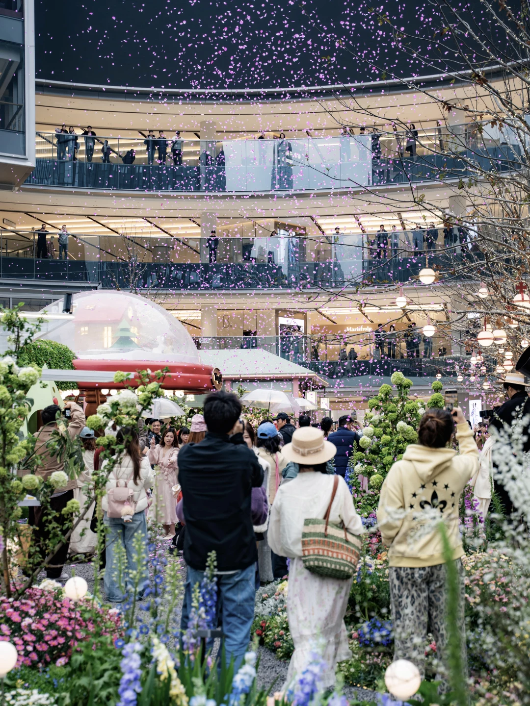 把春天揉进晚风里，在城市邂逅一场温柔花事