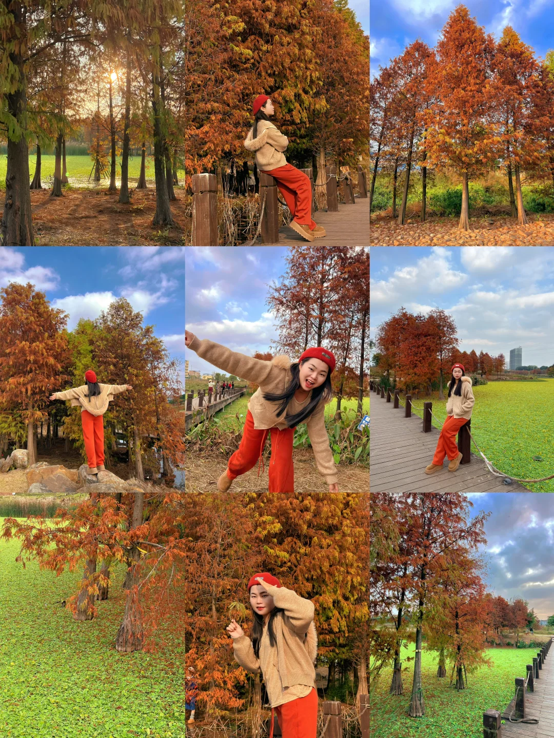 地铁直达！北湖公园落羽杉红了赶紧冲