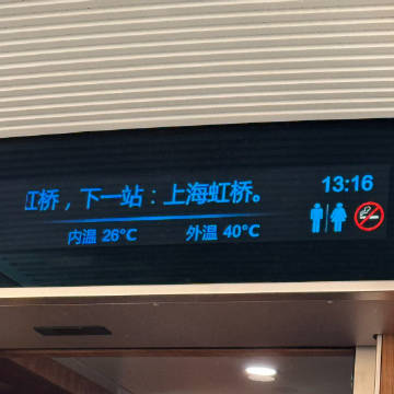 欢迎收看小许公费回第二故乡当牛马的一天😇