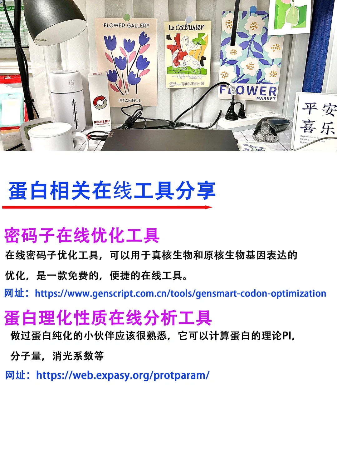 🔥蛋白表达必备工具分享