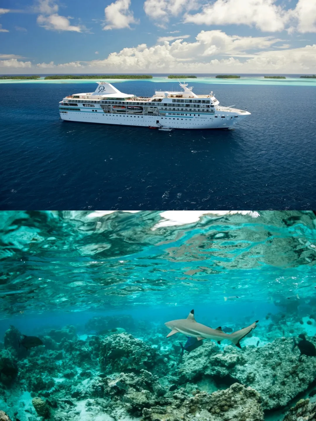 春节躺平攻略🏖️3w住进南太平洋漂浮别墅