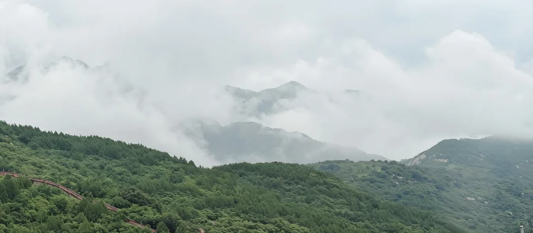 开学季感冒怎么办