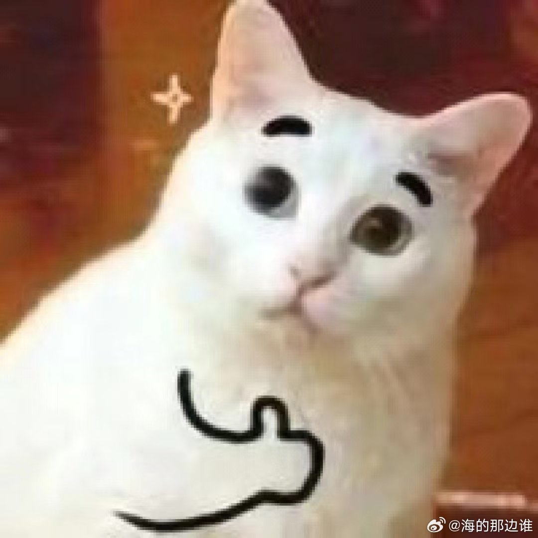 #AI眼镜给听障人士开了一扇窗# 线下面对面的温度，是打字聊天替代不了的；这副眼镜，刚好把这份难得的氛围感还给了听障朋友们[耶] #等我戴上眼镜你再说# ​