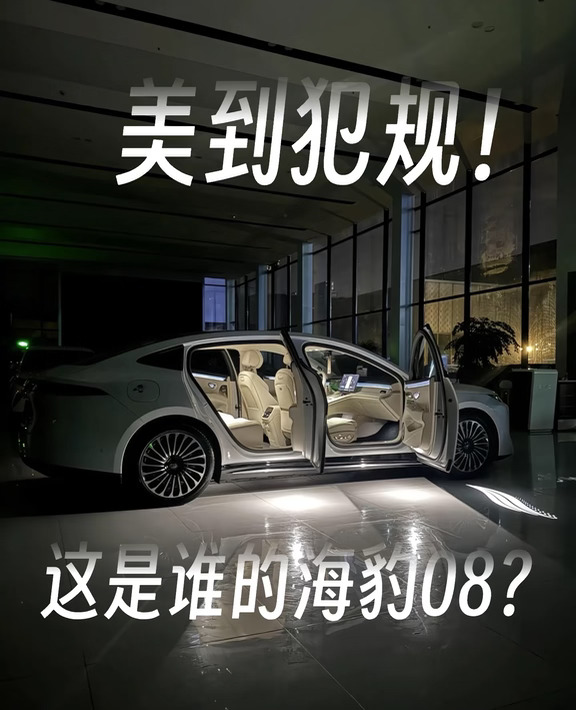夜晚的海豹08才是真美