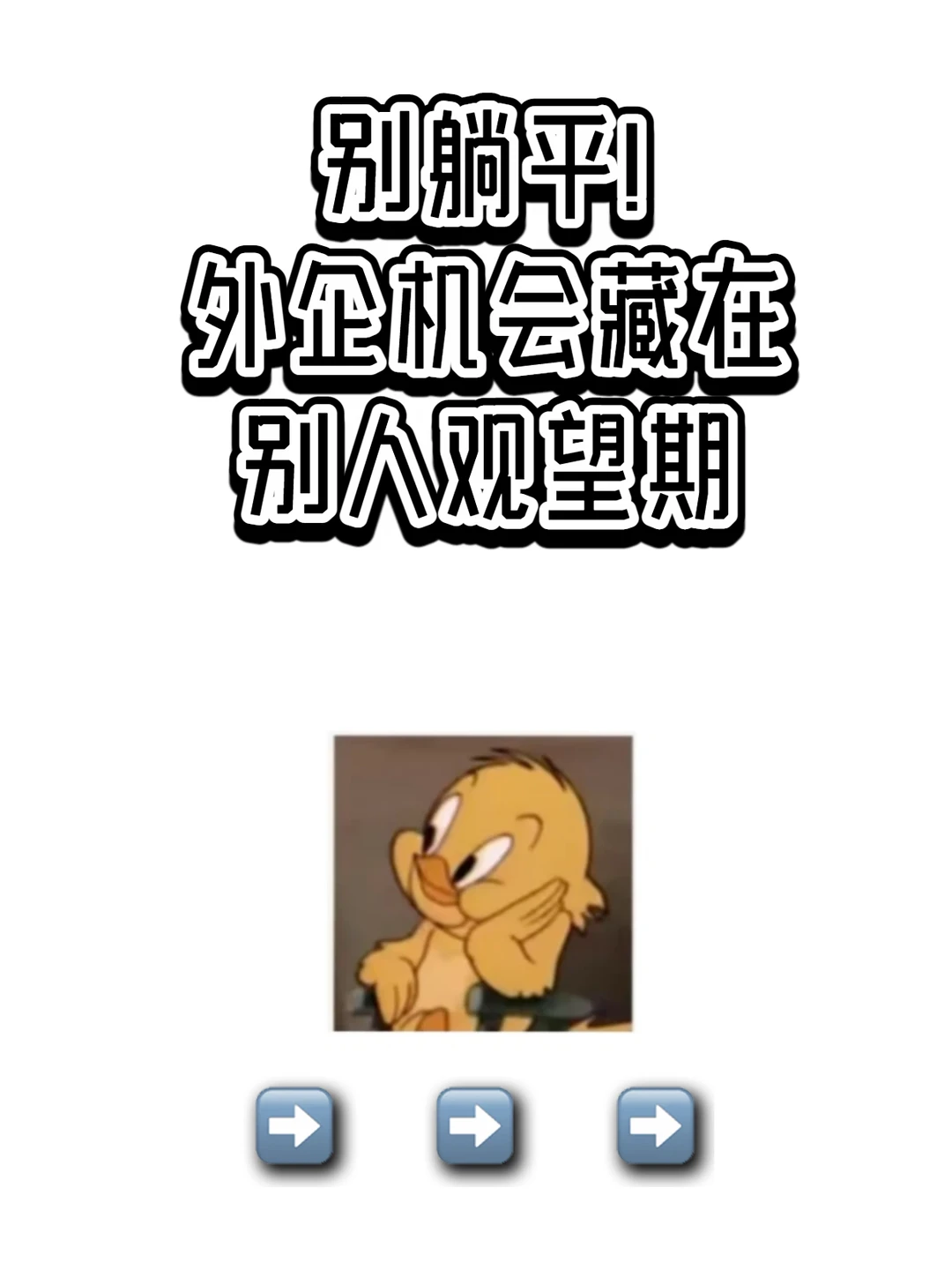 别躺平！外企机会藏在别人观望期✨