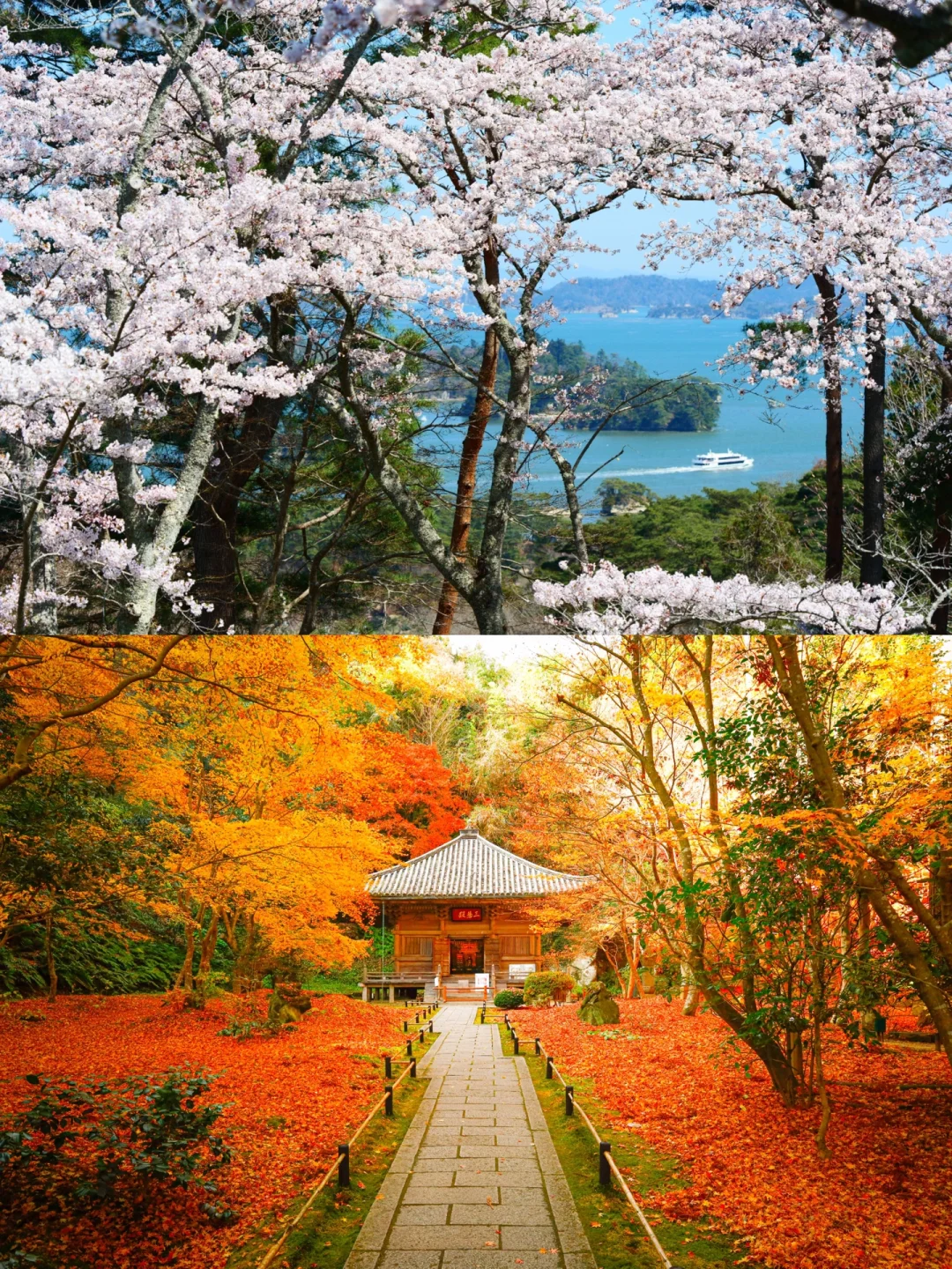 日本宫城丨奇石松林寺庙，松岛四季各有姿色