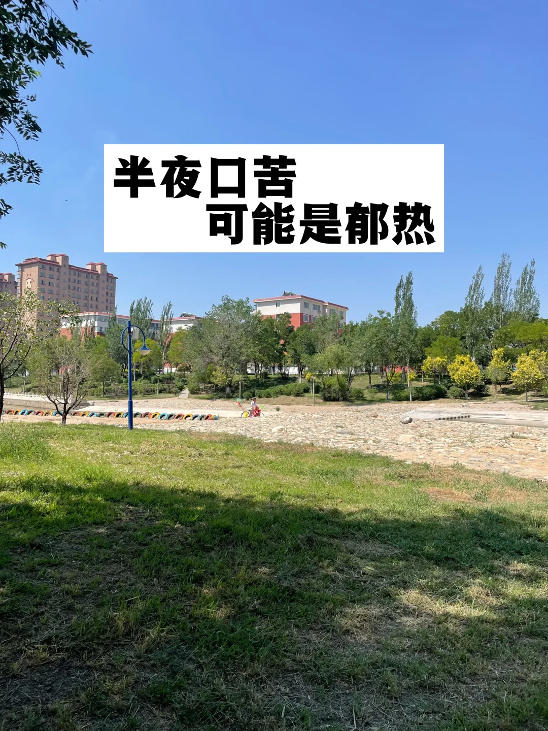 半夜口苦，可能是郁热.