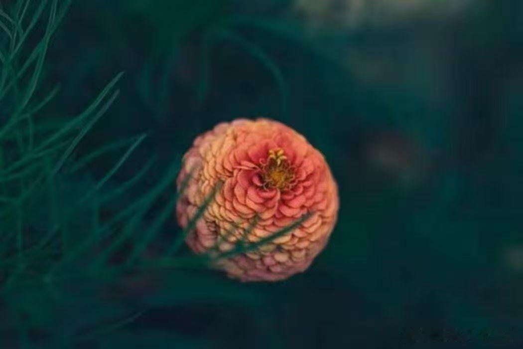 身体越寒越容易上火，张仲景只用2味药，一个补，一个泻#国医的精诚力量# 
今天这篇文章我们来讲一个非常普遍的现象，上火。
牙龈肿痛了，口腔溃疡了，脸上冒痘了，大便干结了，很多人的第一反应就是上火了，既然有火，那就吃点清热泻火药吧。结果怎么样呢？多数情况下适得其反。
可见，上火这件事儿并 ​