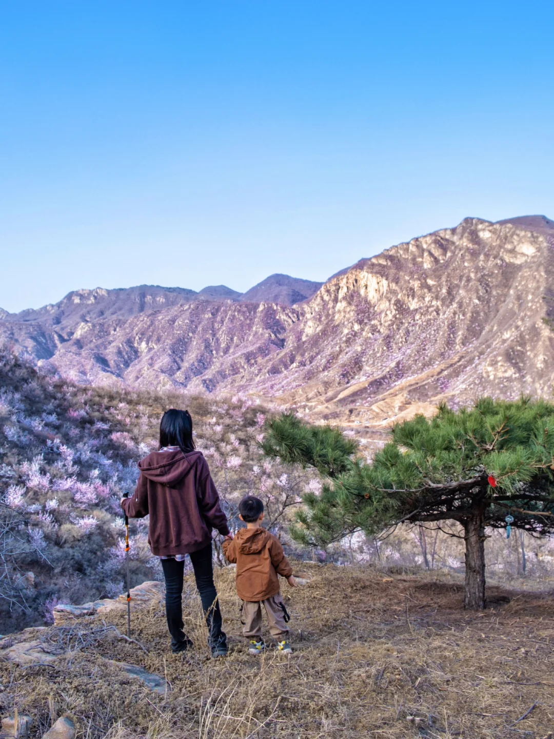 京郊1h徒步⛰️承包整片桃花仙谷‼️还有许愿树