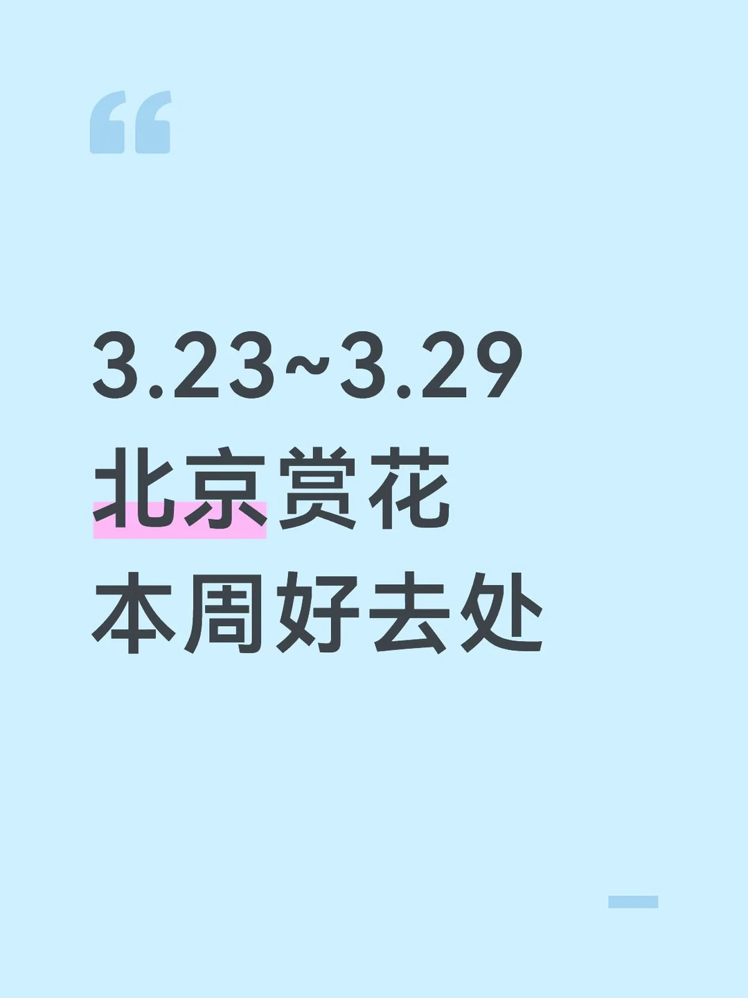 3.23~3.29，北京赏花去处最新实况