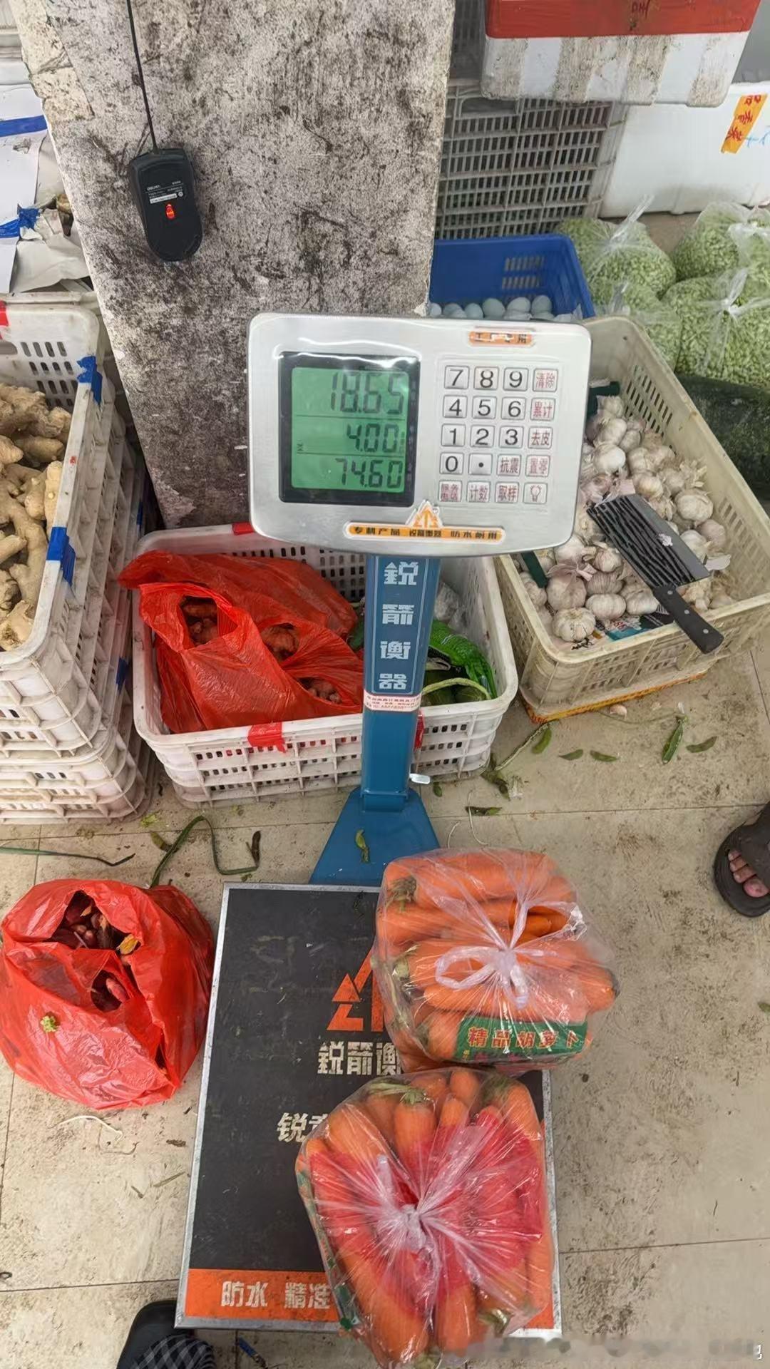 卫南蔬菜店买了74元的胡萝卜，放冷冻店里。待明早三轮车拉冷冻带去山上。冷冻又空了，天冷了，吃的更多了。帖子速度都跟不上赊冷冻的速度，真让人焦虑#流浪动物救助# ​