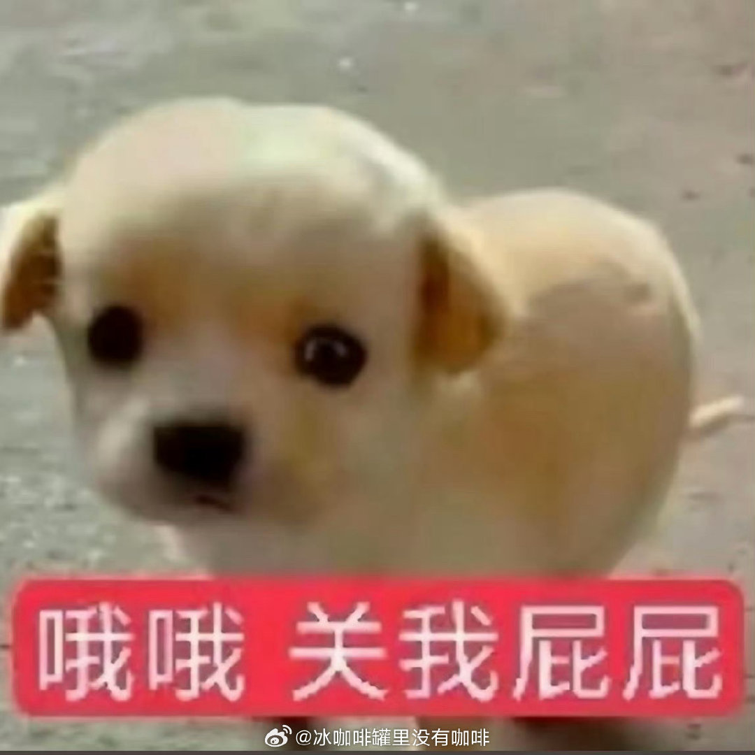 花了3k终于确定腼是中耳炎导致的大小眼了…800的药我真的大吸一口凉气（宠物医保我再也不会忘记交了[拜拜]生病前给我断掉了我真的吐血[跪了][跪了]白交两年一次没用过） ​