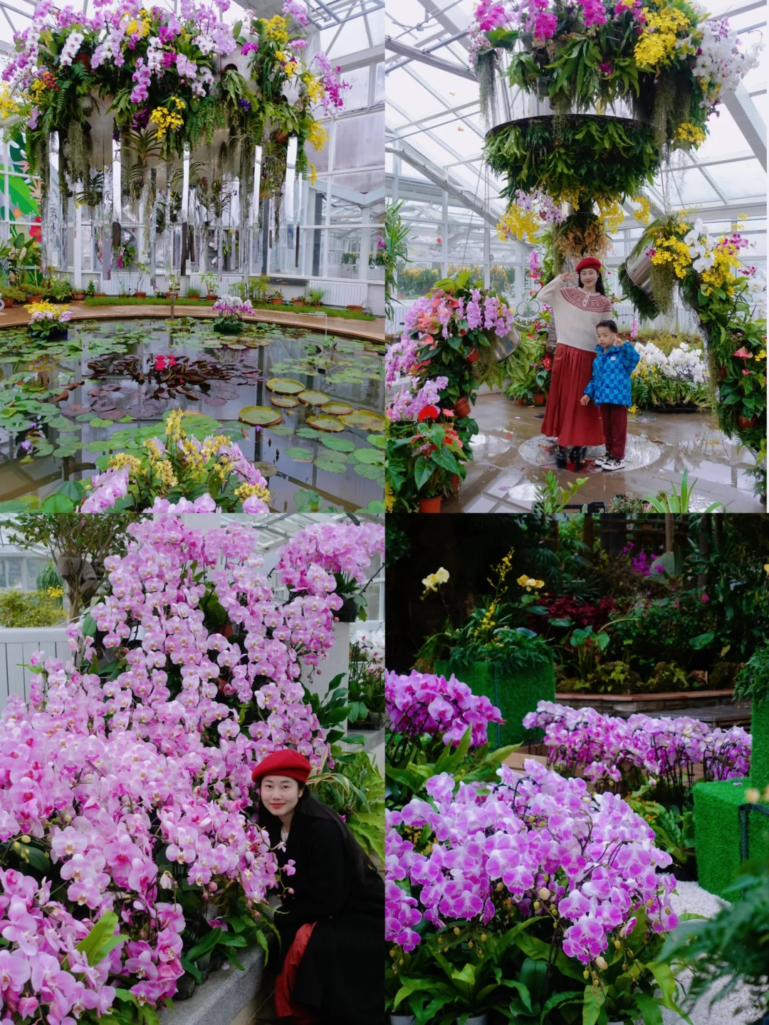 啊啊啊美哭😭武汉植物园又美出新高度‼️