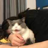 張張很忙