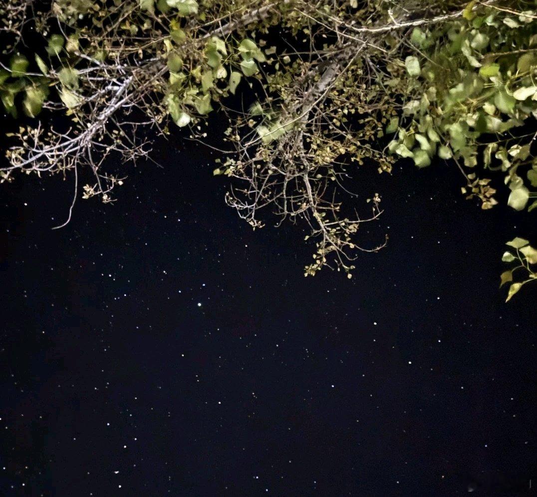 #丁程鑫[超话]# 程鑫今晚的星空真好 ​