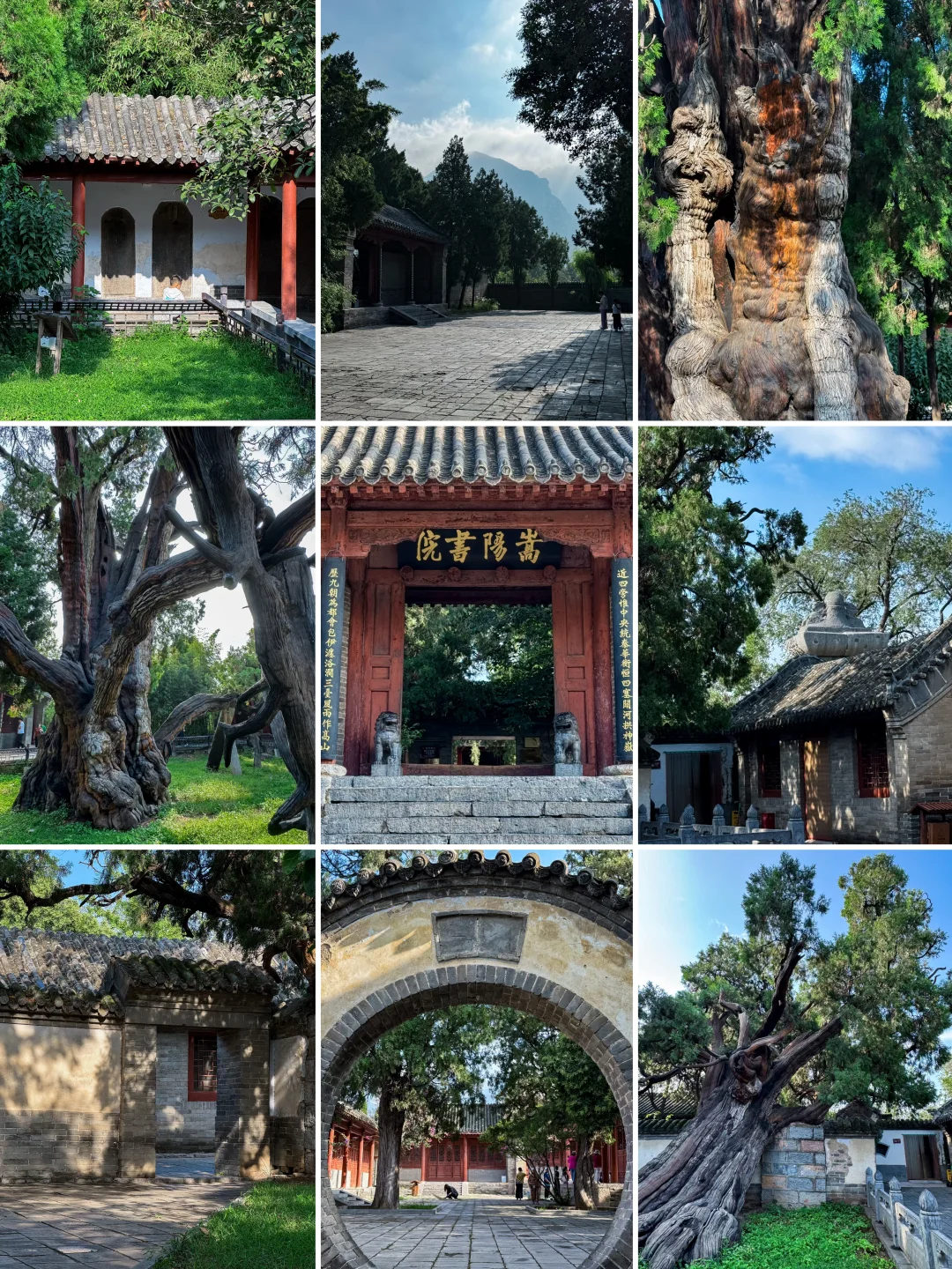 在嵩阳书院感受光阴流转