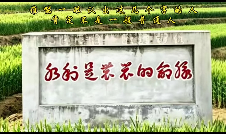 不是我吹！我敢说！就算是大学生也不一定认全这些字，能全部认出来的，绝非一般的文化