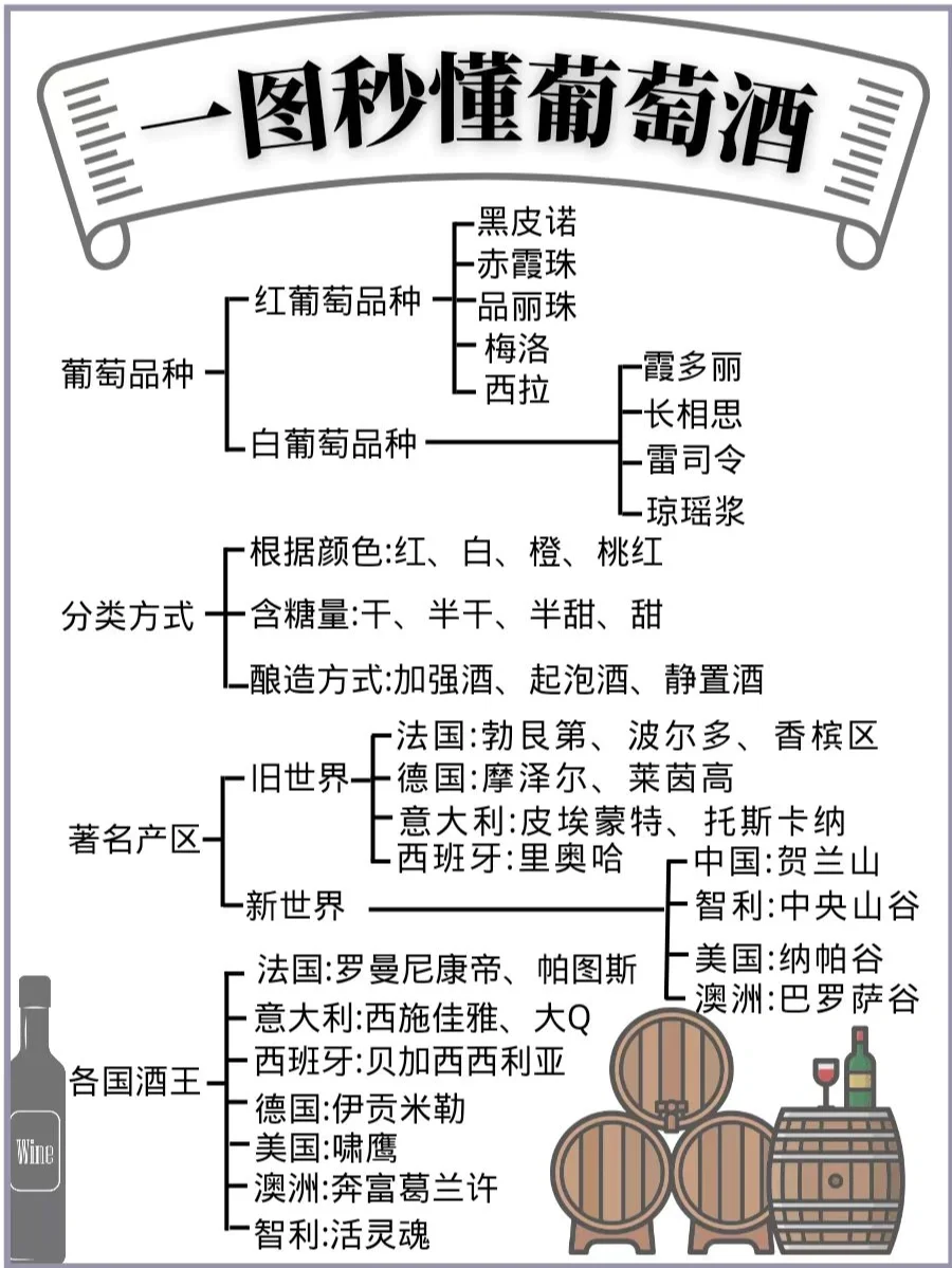 一图秒懂葡萄酒📚 | 入门指南&葡萄酒干货