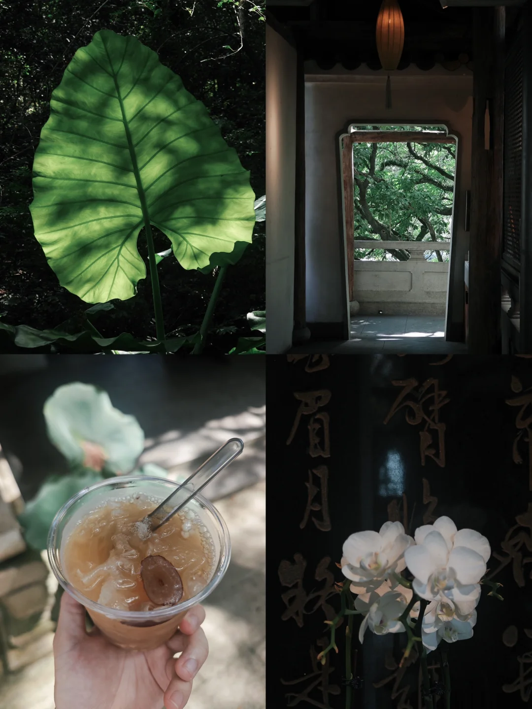 你可以不用做任务