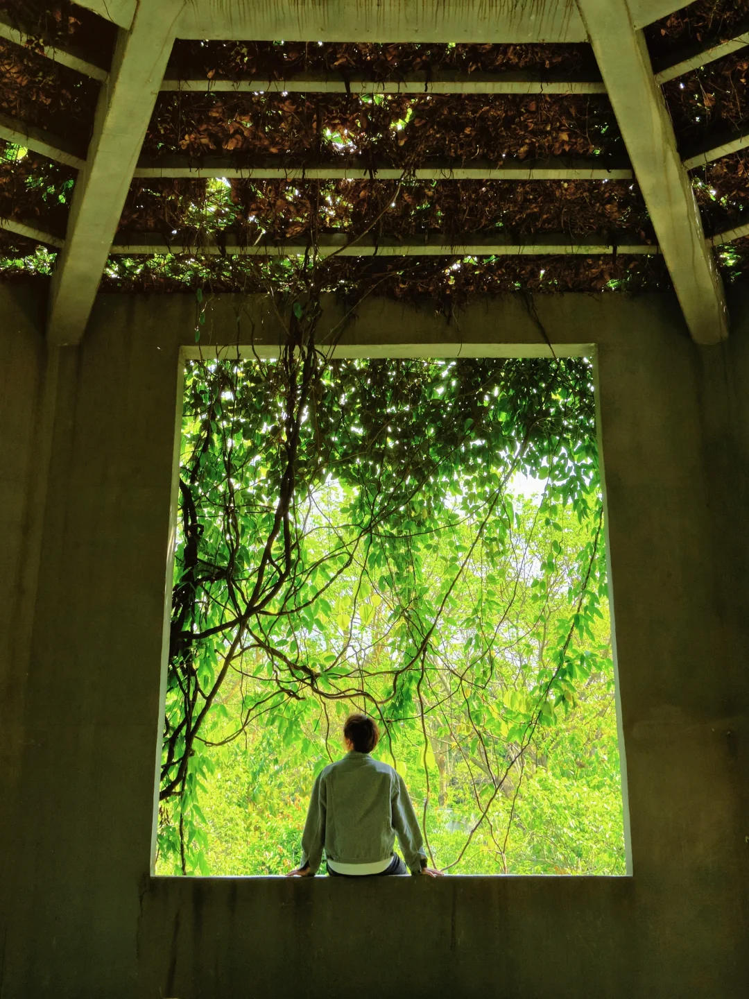 在广州！我的春日绿色能量场🍃简直太治愈了