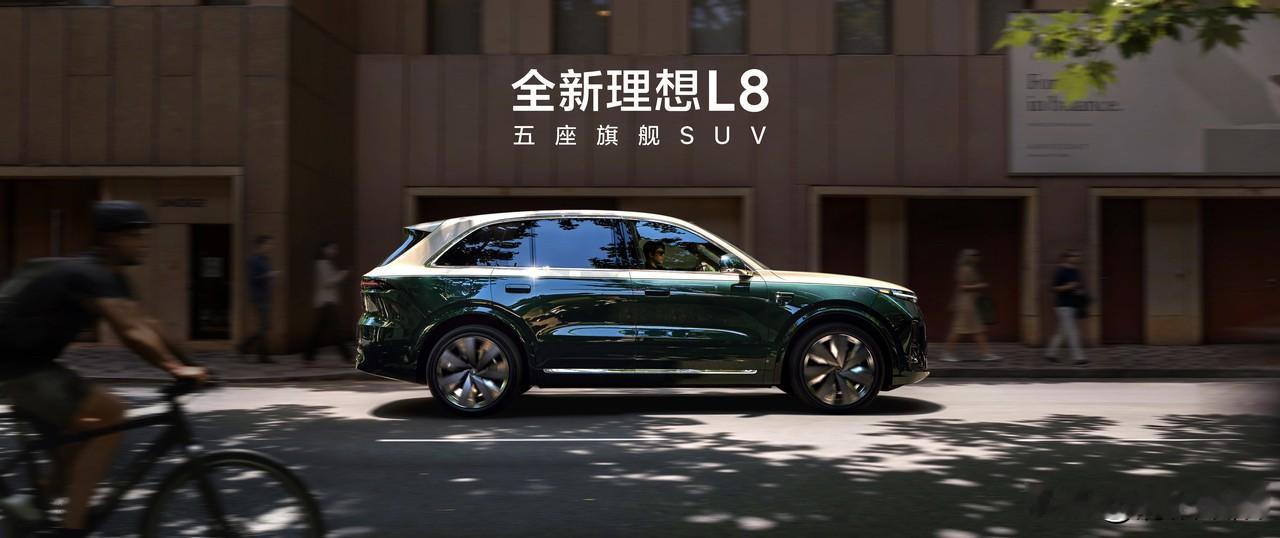国产车动力电池主要品牌：

1、宁德时代：国内装车量第一，市场占有率46.9%。
2、弗迪电池：比亚迪旗下，靠刀片电池出名。
3、中创新航：二线头部，三元和磷酸铁锂双线走。
4、国轩高科：大众入股，磷酸铁锂电池为主。
5、亿纬锂能：大圆柱电池切入宝马高端车型。
理想为何坚持深度自研电池

今年是