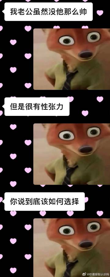 这个表情包太好玩了，哈哈